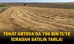 Tokat Artova’da 796 bin TL’ye icradan satılık tarla!