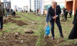 Ordu Üniversitesi'nde 100 fidan toprakla buluşturuldu