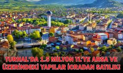 Tokat Turhal'da 1.5 Milyon TL'lik Fırsat: İcradan Satılık Geniş Arsa ve Yapılar!