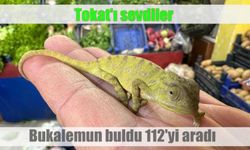 Bukalemun buldu 112'yi aradı...