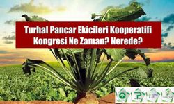 Turhal Pancar Ekicileri için Kongre Ne zaman? Nerede?