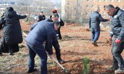 Tokat Gaziosmanpaşa Üniversitesi'nde fidan dikimi gerçekleştirildi