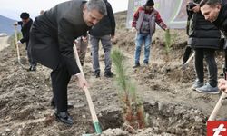 Tokat'ta, 260 Bin Fidan Toprakla Buluşturuldu