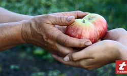 Rüyada Cömertlik Görmek: Olumlu Duyguların ve Yardımseverliğin İşareti