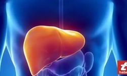 Yağlı Karaciğer Hastalığı (Hepatosteatoz): Belirtileri, Nedenleri ve Etkili Tedavi Yöntemleri