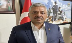 Sezona 65 liradan başlayan fındık bakın kaç TL oldu