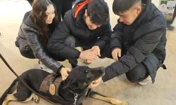 OKAF'24'te narkotik dedektör köpeği "Bogar" da tanıtıldı