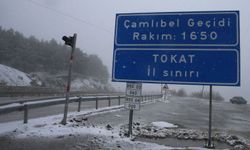 Tokat'ın yüksek kesimlerinde kar yağışı etkili oldu