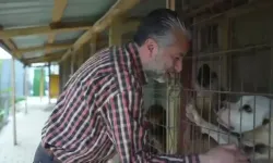 Belediyelerin Yapamadığını Yaparak Sahipsiz Köpeklere Umut Oldu