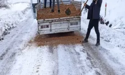 Tokat'ta Bir İyi Bir Kötü Haber...