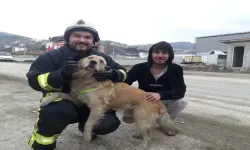 Tokat'ta Yangından Kurtarılan Köpek Minnetini Böyle Gösterdi