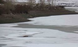 Hava sıcaklığının düştüğü kentte gölet buz tuttu