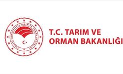 Tarım ve Orman Bakanlığı personel alımı için Tokat'ta adayların dikkatine!