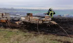 30 Arı Kovanı Küle Döndü, Binlerce Arı Yok Oldu