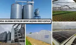 Tokat'ta Yüzde 50 Hibe Desteği Verilecek! Kırsal Kalkınma Destekleri Başvuru Süresi Uzatıldı