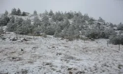  Tokat Beyaz Örtüye Hasret Kaldı, Tek O ilçeye Yağdı