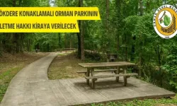 Gökdere Konaklamalı Orman Parkı İhale Ediliyor