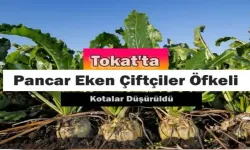 Tokatlı Pancar Çiftçisi öfkeli!...