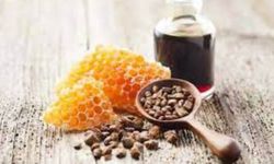 Arıların ürettiği propolis nedir? Propolisin faydaları nelerdir?