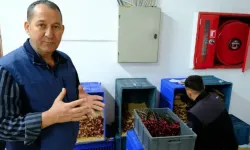  Tokat'ta 13 yıldır devam eden üretim başladı...