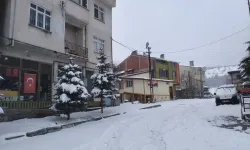 Tokat'ta Karın Beyaz Dansı