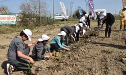 1100 Fidan Toprakla Buluşturuldu