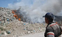 Tokat Kötü Manzaradan Kurtuldu, Lavanta Bahçesine Dönüştü...