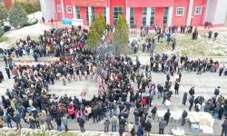 Nevruz Bayramı Coşkusu