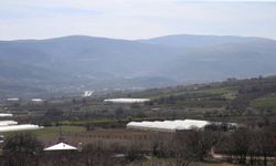 Tokat'ın Antalyası Paraya Para Demiyor