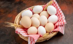 Yumurta üstündeki rakamlar ne anlama geliyor?