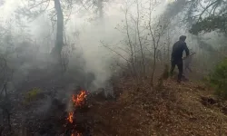 Tokat Sulusaray'da Ormanlık Alanda Korkutan Yangın