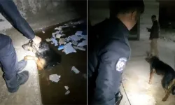 Kahraman Polisler, Tokat'ta Suda Mahsur Kalan Köpeği Kurtardı