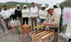 Karabük'te kadınlar ve genç çiftçiler arıcılığa teşvik ediliyor