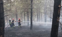 Samsun'da çıkan orman yangınında 2 dekar alan zarar gördü