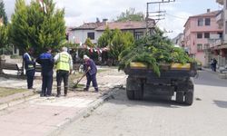 Hanönü Belediyesi park ve bahçelerde bakım yapıyor