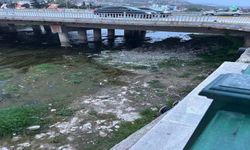 Tokat'ta vatandaş ırmağın temizlenmesini istiyor