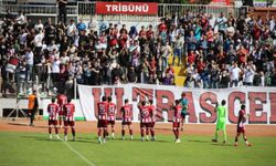 Tokat Belediye Plevnespor:2, Yıldırımspor:0