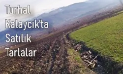 Turhal Kalaycık köyünde Mahkemeden Satılık Tarlalar