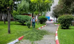 Turhal Belediyesi Harekete Geçti: Parklardan Yollara Büyük Dönüşüm!