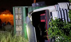 Göynük'te devrilen kamyonun sürücüsü yaralandı