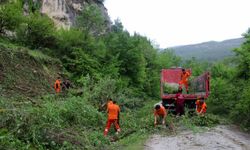 Karabük'te tarihi kaya mezarlarında çevre temizliği yapıldı