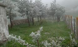 Tokat'ın yüksek kesimlerde kar yağışı etkili oldu