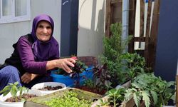 Depremde evi yıkılan 76 yaşındaki Eşe teyze, konteynerin önüne bahçe yaptı