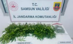 Samsun'da uyuşturucu operasyonunda 1 zanlı yakalandı