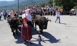 İnebolu'dan Kastamonu'ya 95 kilometrelik Atatürk ve İstiklal Yolu Yürüyüşü başladı