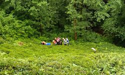 Rize'de odun keserken dereye yuvarlanan kişi yaralandı