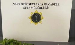 Samsun'daki narkotik denetimlerde 37 şüpheli yakalandı