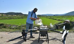 Saraydüzü'nde çiftçilerin dron kullanımı yaygınlaşıyor