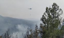 Sinop'ta çıkan orman yangınına havadan ve karadan müdahale ediliyor