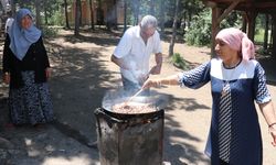 Yozgat'taki Çamlık Milli Parkı piknikçileri ağırlıyor